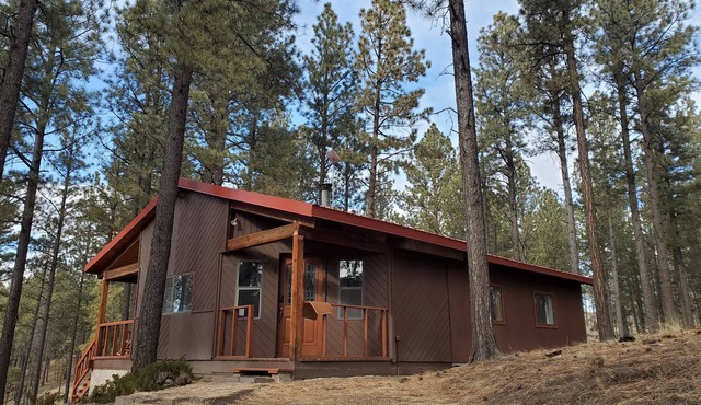 Lovely 2 Bedroom Cabin in the Woods