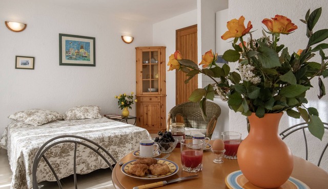 Lovely 2 person studio with terrace and garden in a villa in St Paul de Vence