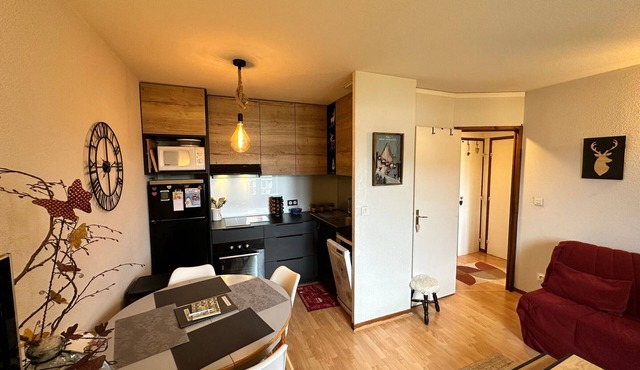 Lovely 2-room apartment, south balcony, mountain view, WIFI, 4 pax
