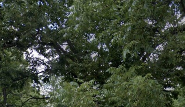 Lovely 3-bedroom Home near Downtown