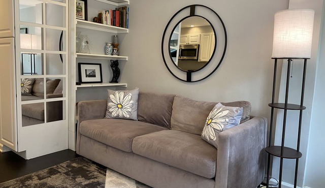 Lovely 3BR 2BA 2 level condo in great Georgetown location (31 day min)