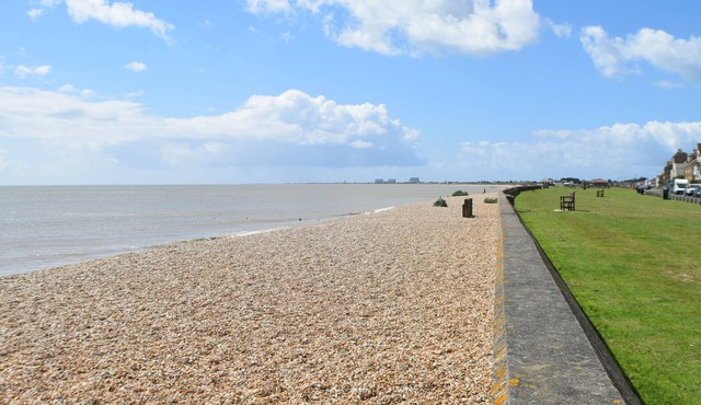 Lovely 4 bed, 2 bath family house. Near beach, town & RH&DR. Pets welcome.