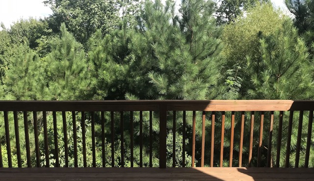 Lovely 4 bed/3.5 bath Townhome in the Heart of Cary