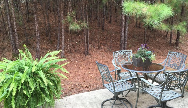 Lovely 4 Bed 3 Bath Town Home Conveniently to RTJ Golf, Hoover Met & college’s