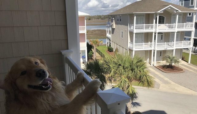 Lovely 4 Bed/4 Bath Pet-Friendly Villa, short walk to beach on west end of OIB
