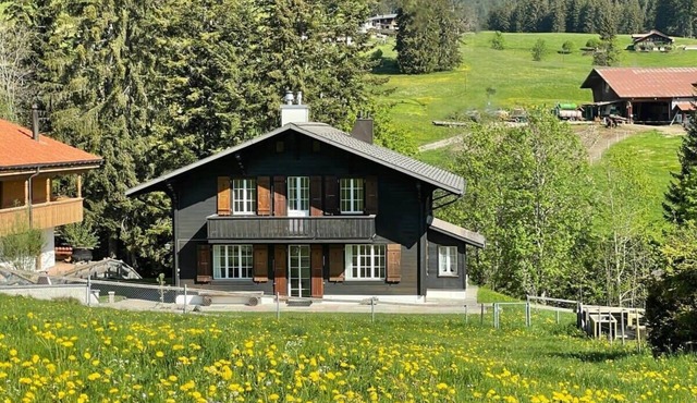 Lovely 4 Bedroom Chalet Great for Ski Holiday