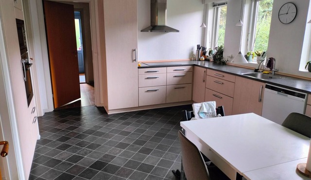 Lovely 4-bedroom villa in Odense for a relaxing getaway