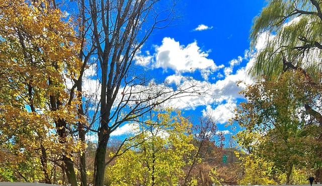 Lovely 4bedroom home with patio & playground