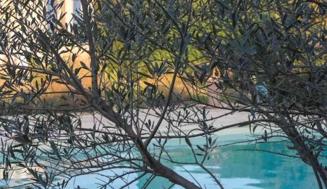 Lovely 6 berth villa with private heated saltwater pool in a peaceful location