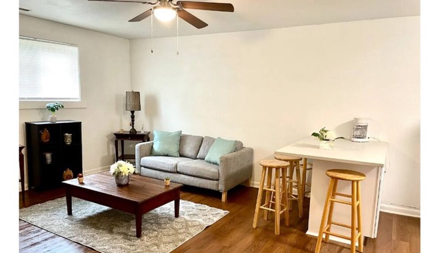 LOVELY AND COMFORTABLE APARTMENT, PETS WELCOME