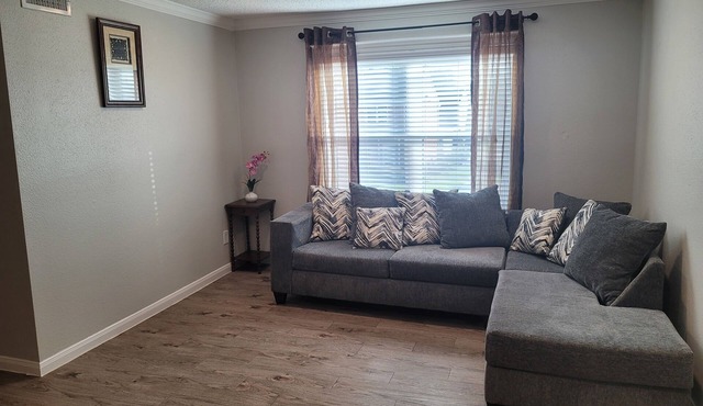 Lovely and Spacious one bedroom rental