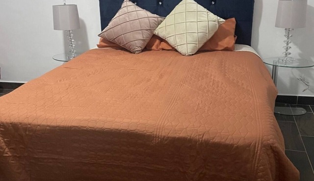 Lovely and warming 3 bedrooms apt inDowntown