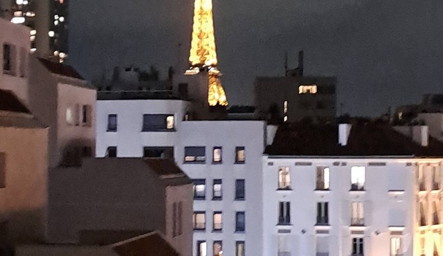 Lovely apartment between the quays of the Seine and the Eiffel Tower