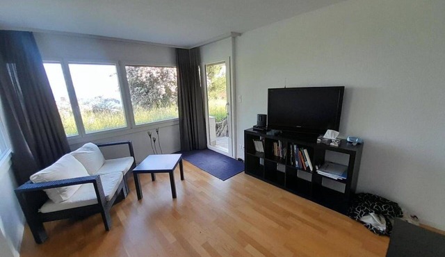 Lovely apartment for 2 guests with internet and TV