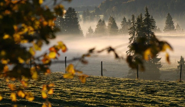 Lovely apartment for 12 guests with WIFI and balcony