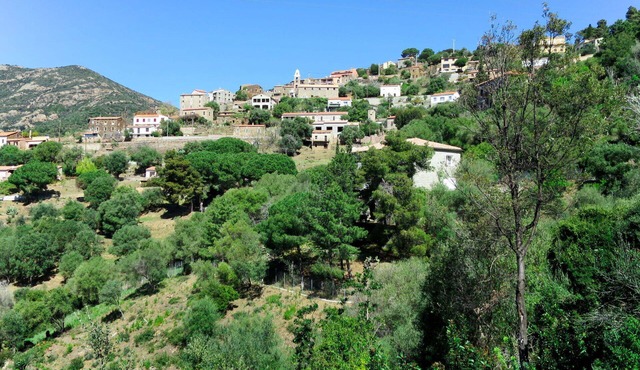 Lovely apartment for 4 guests with WIFI, A/C, TV, patio, pets allowed and panoramic view
