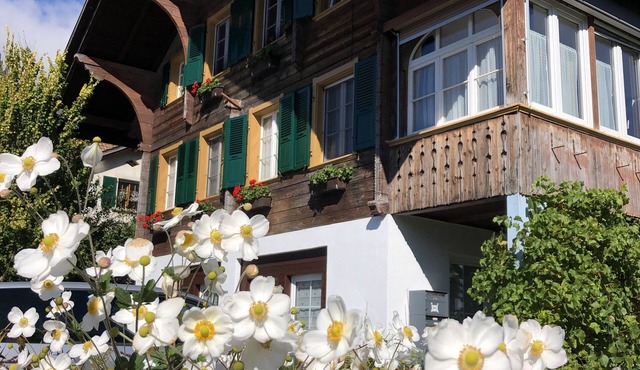 Lovely apartment in classic Chalet by the lake