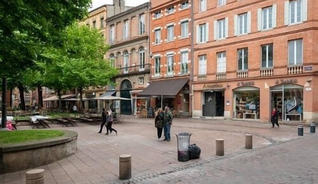 Lovely apartment in the heart of Toulouse