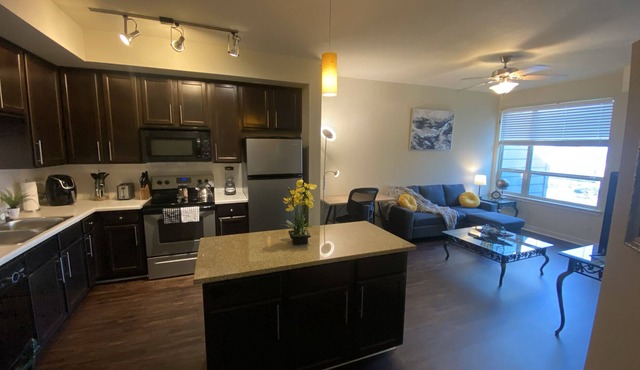 Lovely Apartment Unit Near Hospitals