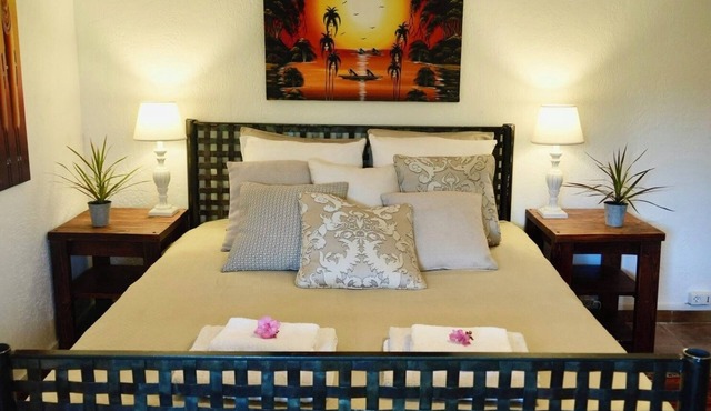 Lovely apartment with AC in charming Le Thoronet