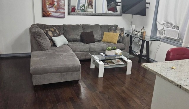 Lovely App Downtown Ottawa 210D