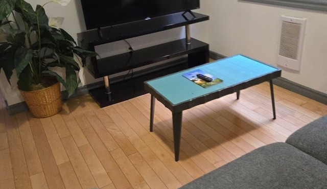 Lovely App Downtown Ottawa 33D