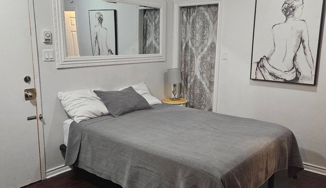 Lovely App Downtown Ottawa 24D