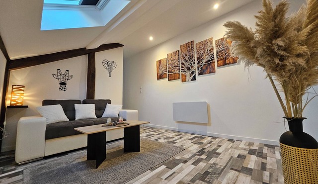 Lovely attic apartment a few steps from the town center