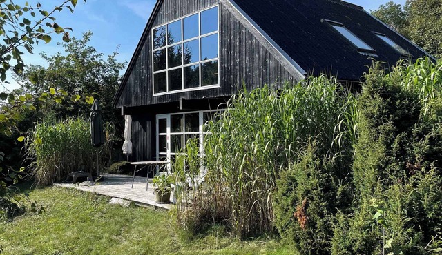 Lovely beach home enveloped in green surroundings