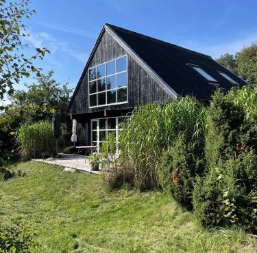 Lovely Beach Home Enveloped In Green Surroundings