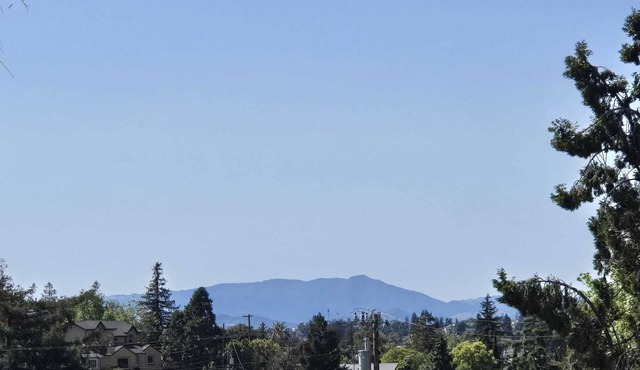 Lovely bedroom suite in a lush quiet Oakland Hills home with Bay views
