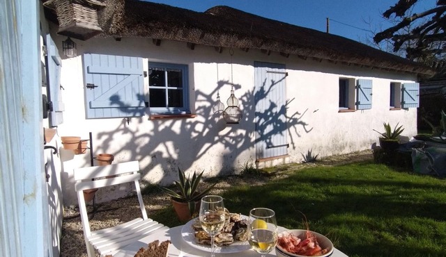 Lovely Bourrine Vendéenne in its own green setting.