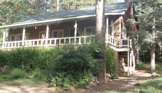 Lovely cabin a midst majestic pine trees