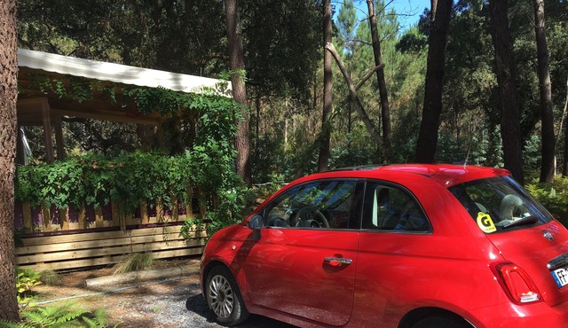 Lovely Cabin, Sleeps 8 people, Beautiful Swimming Pool, Walk to Atlantic Beach!