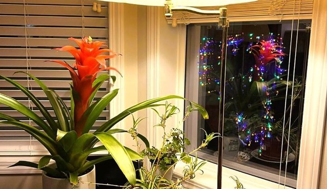 Lovely comfy home private bath in central Calgary