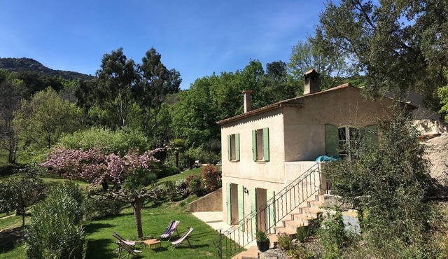 Lovely cottage, heated pool, large grounds