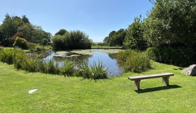 Lovely cottage in 4 acres - 2 lakes, hot tub, pool & sunny conservatory