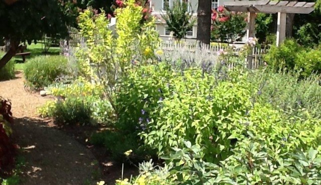 Lovely Country Guesthouse - Sleeps 6