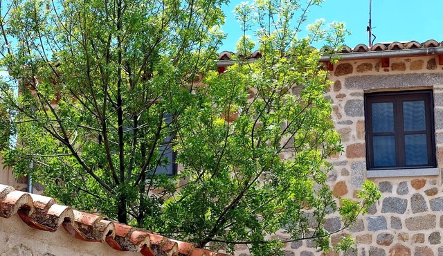 Lovely country house in Avila
