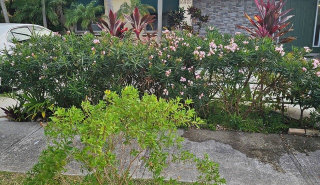 Lovely cozy house with pool in a quiet safe family neighborhood