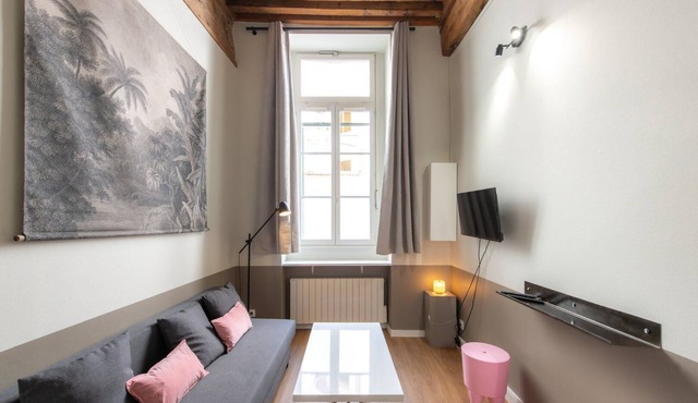 Lovely cozy studio - Pentes of Croix Rousse