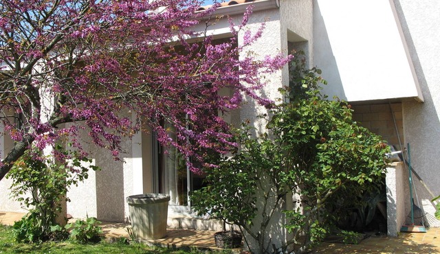 Lovely detached and quiet house 5 min from the beaches of La Rochelle