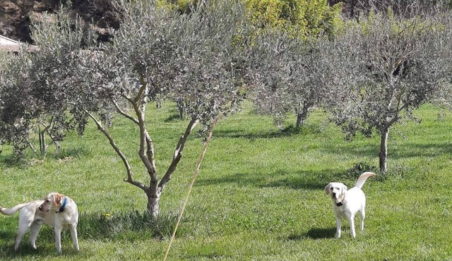 Lovely detached apartment in the countryside in a family-run farmhouse