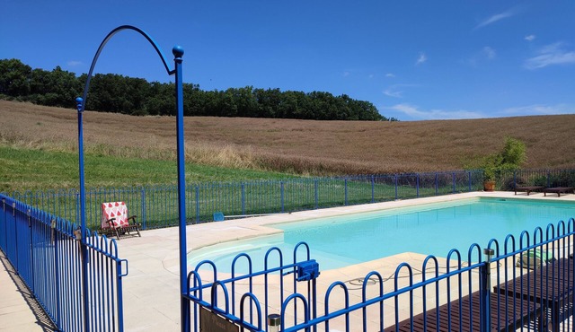 Lovely farmhouse with pool, fibre optic internet and glorious views near Cadours