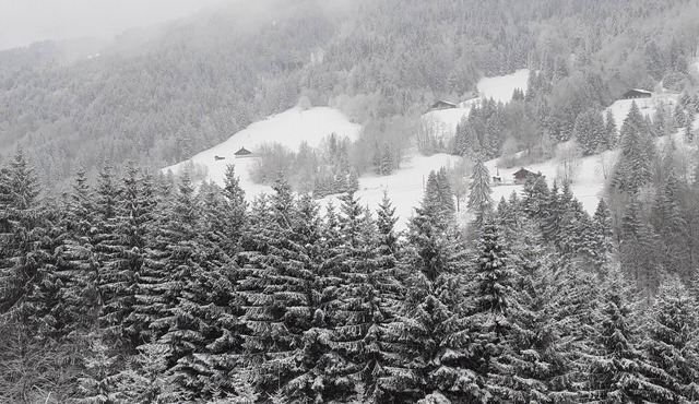 Lovely flat in Flumet (73), 1h15 from Geneva airport, 60m2, 4-sleeper, bright