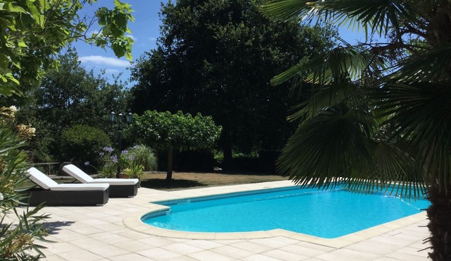 Lovely gîte nestled amongst vineyards and sunflower fields in SW France.