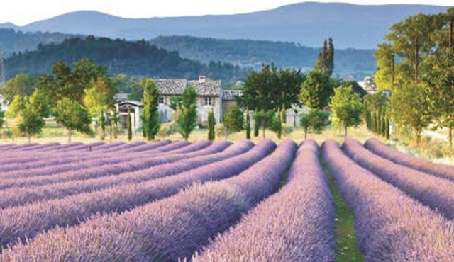 Lovely Gîte with Pool in the Heart of Vaucluse