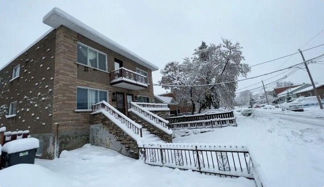 Lovely half basement Apt near highway
