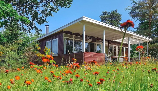 Lovely home in Egå with WiFi