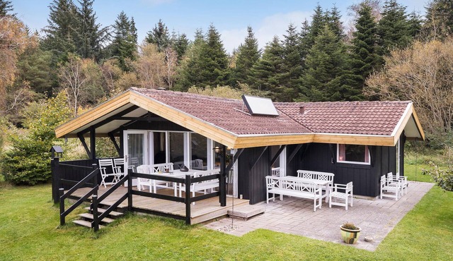 Lovely home in Fjerritslev with WiFi